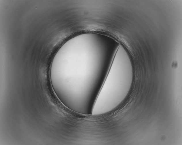 X0000091170539200708091026