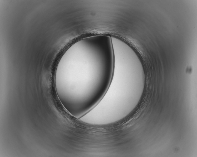 X0000091170540200708091026