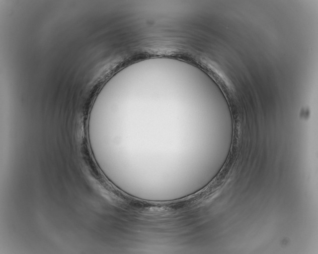 X0000091170541200708091026