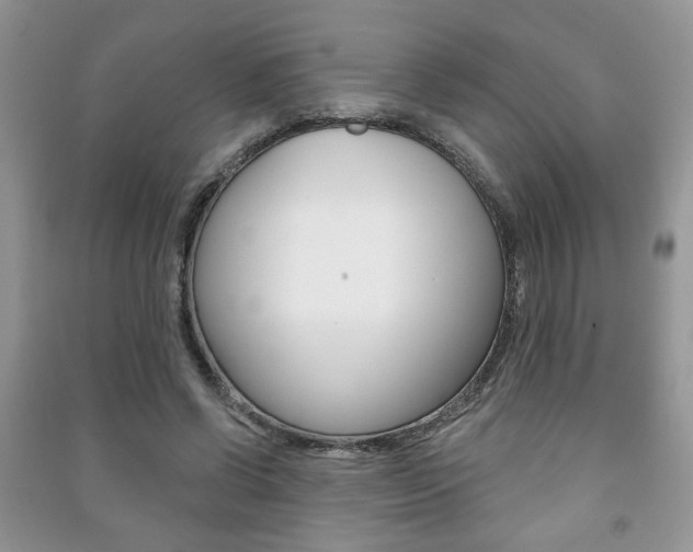 X0000091170542200708091026