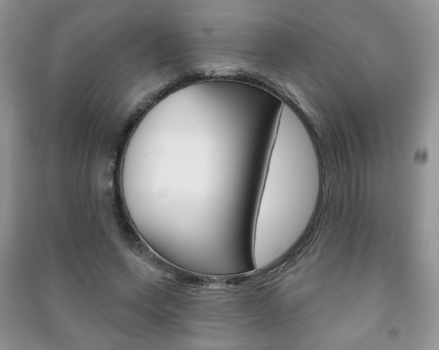 X0000091170543200708091026