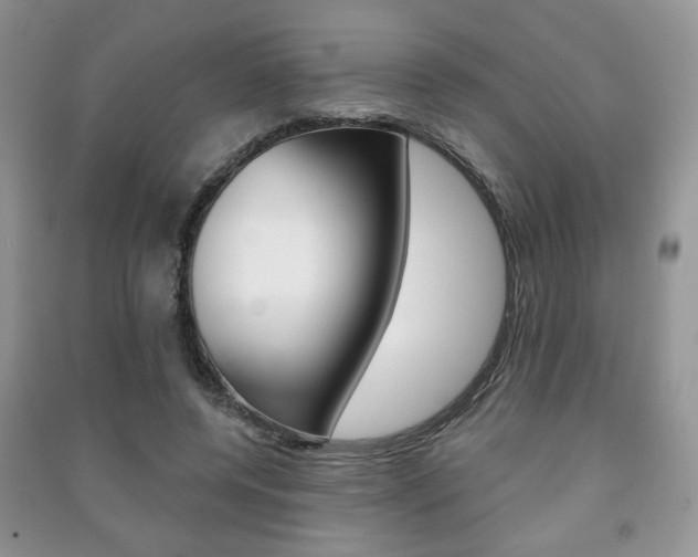 X0000091170544200708091026