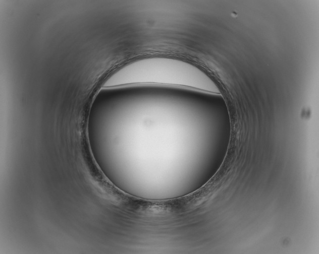 X0000091170546200708091026