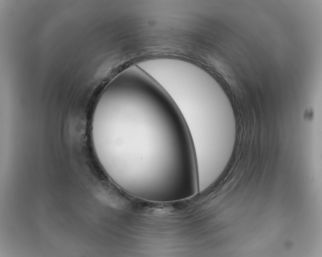 X0000091170548200708091026