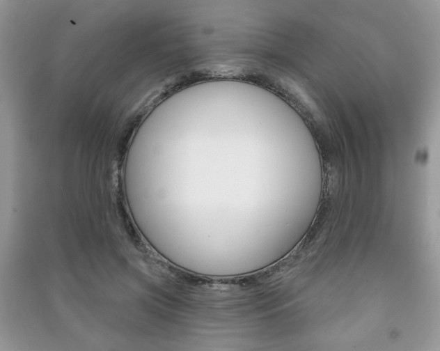 X0000091170549200708091026