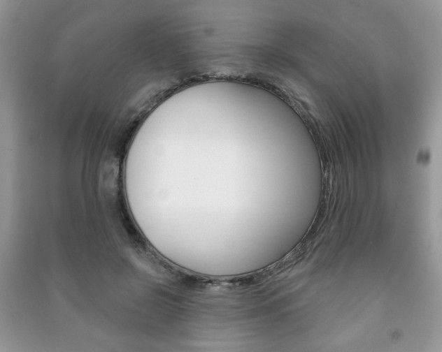 X0000091170550200708091026