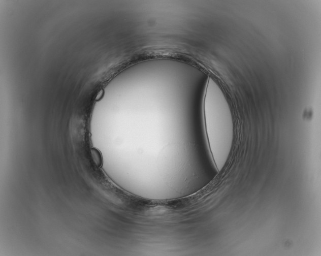 X0000091170551200708091026