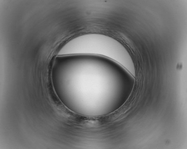X0000091170552200708091026