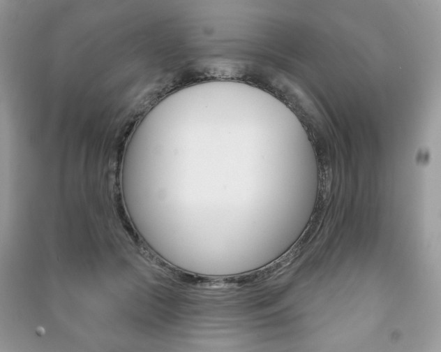 X0000091170553200708091026
