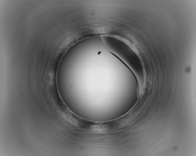 X0000091170556200708091026