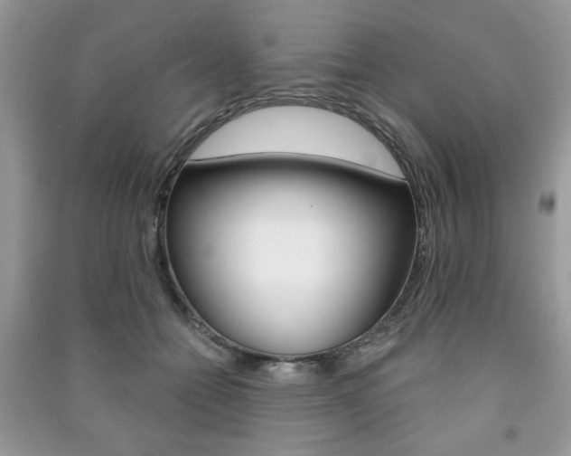 X0000091170558200708091026