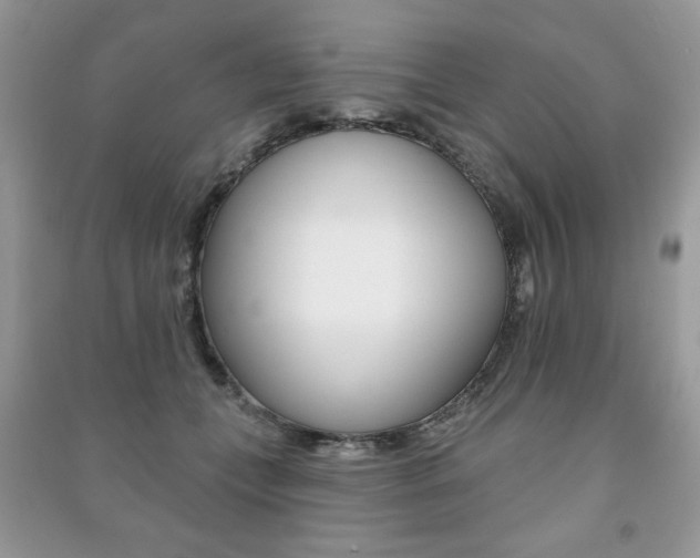 X0000091170559200708091026