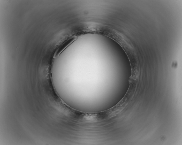 X0000091170560200708091026