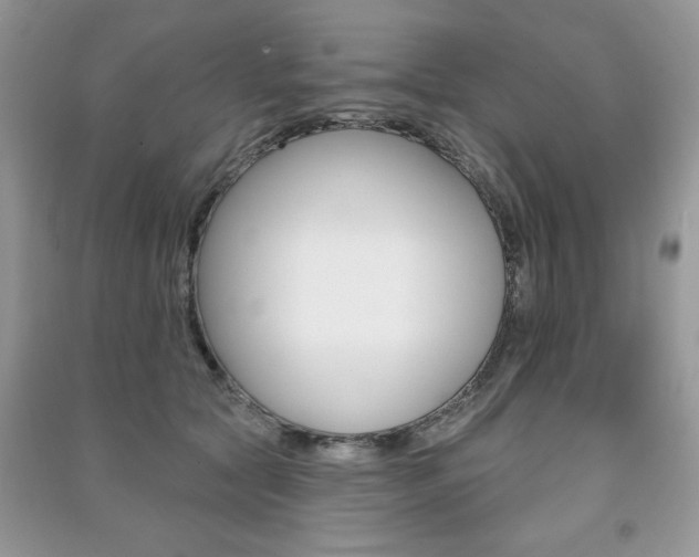X0000091170561200708091026