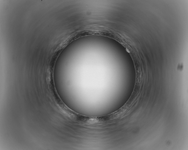 X0000091170562200708091026