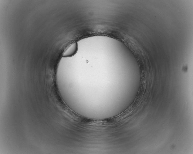 X0000091170563200708091026