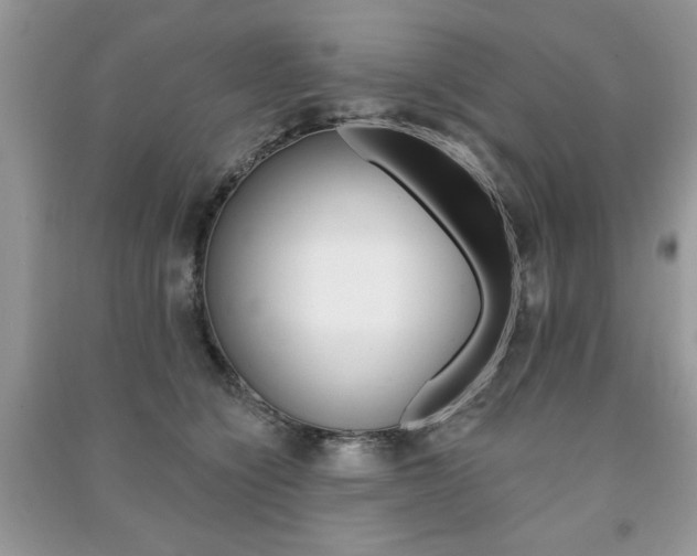 X0000091170564200708091026