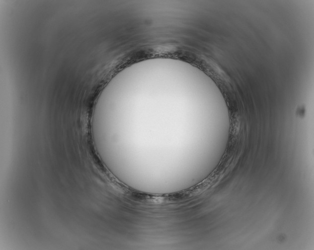 X0000091170565200708091026