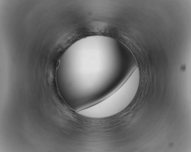 X0000091170566200708091026