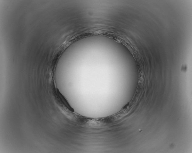 X0000091170568200708091026