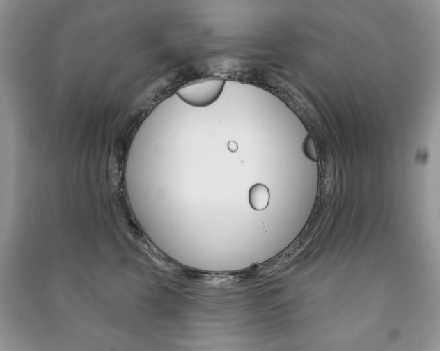 X0000091170569200708091026