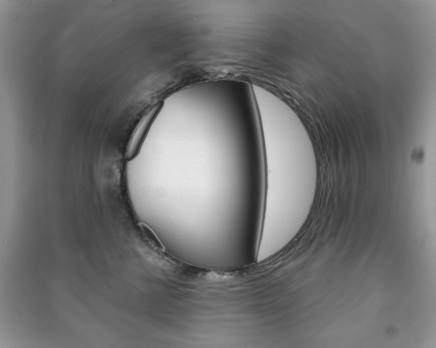 X0000091170570200708091026