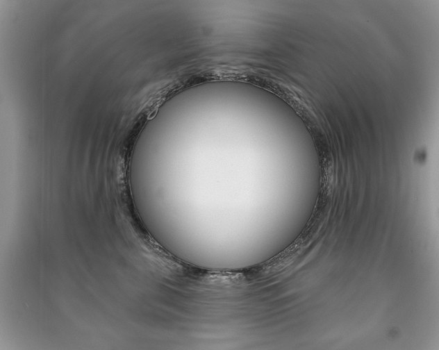 X0000091170571200708091026