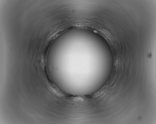 X0000091170572200708091026