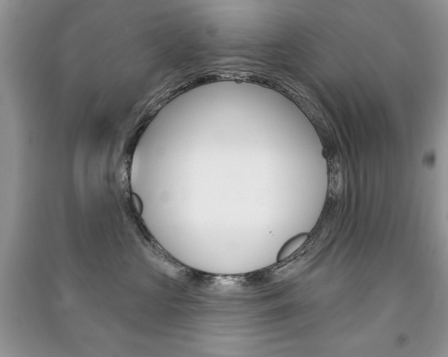X0000091170573200708091026