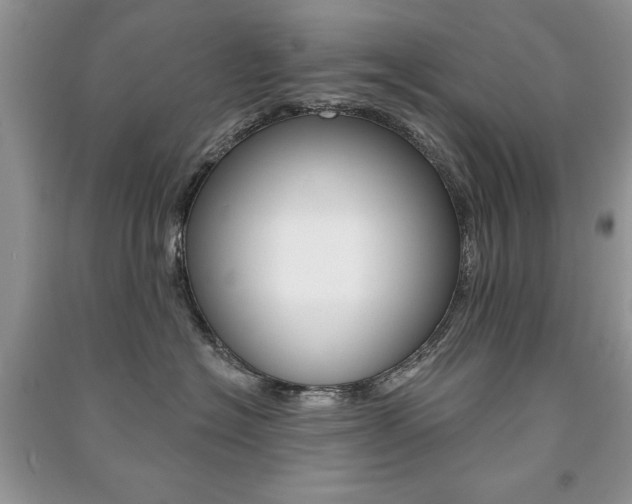 X0000091170574200708091026