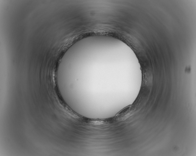 X0000091170575200708091026