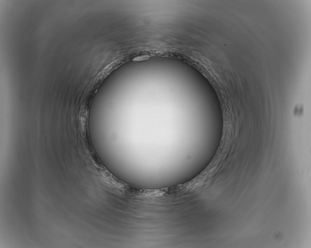 X0000091170576200708091026