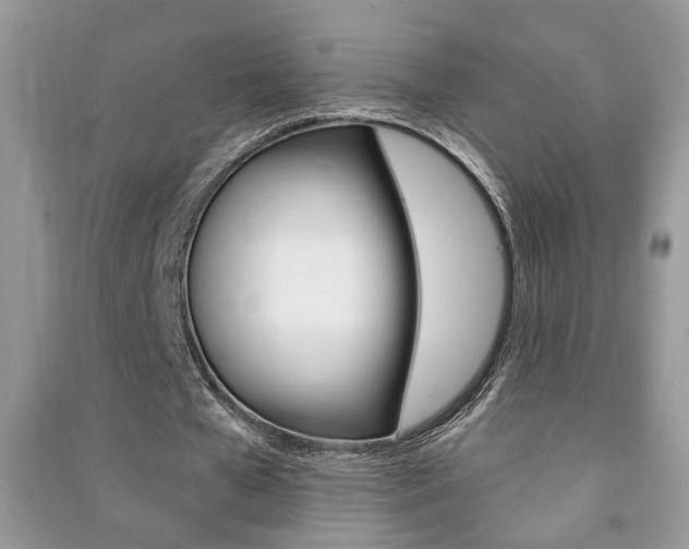 X0000091170577200708091026