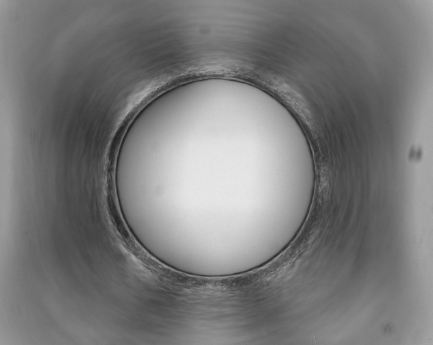 X0000091170578200708091026