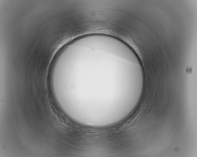 X0000091170579200708091026