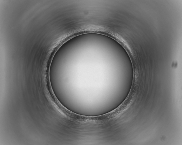 X0000091170581200708091026