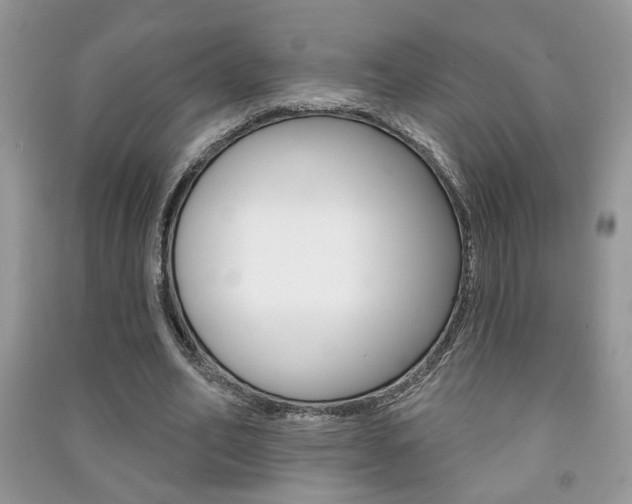 X0000091170582200708091026
