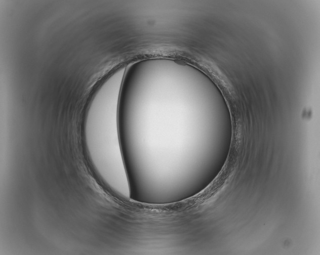 X0000091170585200708091026