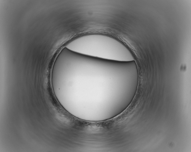 X0000091170586200708091026