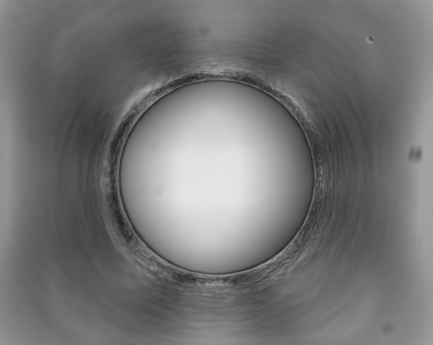 X0000091170587200708091026