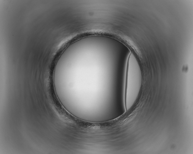X0000091170588200708091026