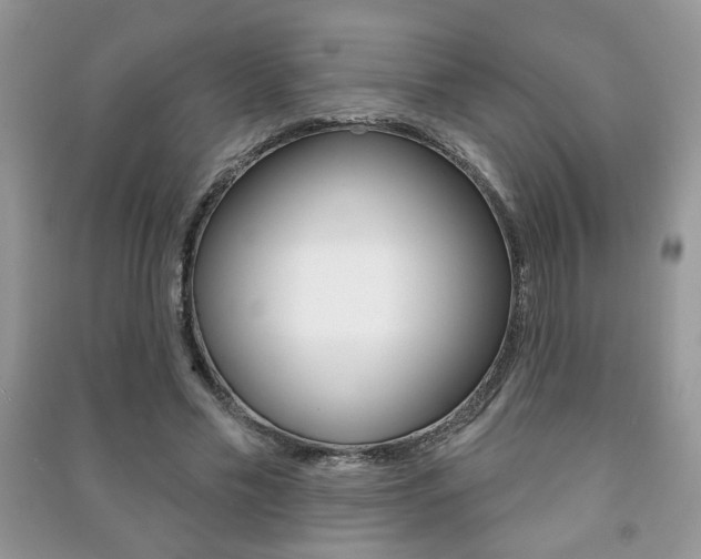 X0000091170589200708091026