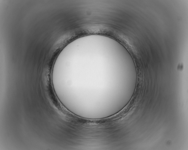 X0000091170590200708091026