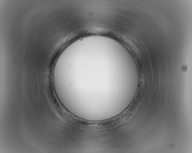 X0000091170591200708091026