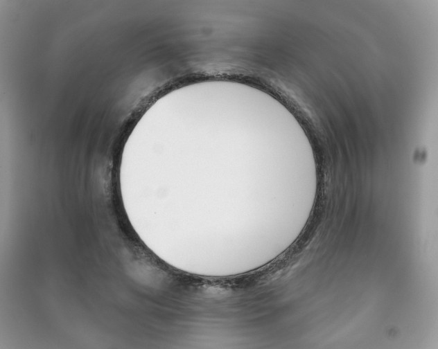 X0000091170592200708091026