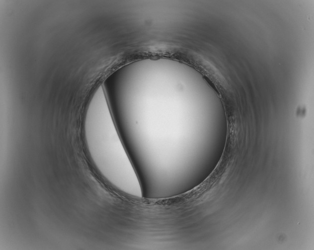 X0000091170593200708091025