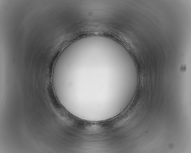 X0000091170594200708091025