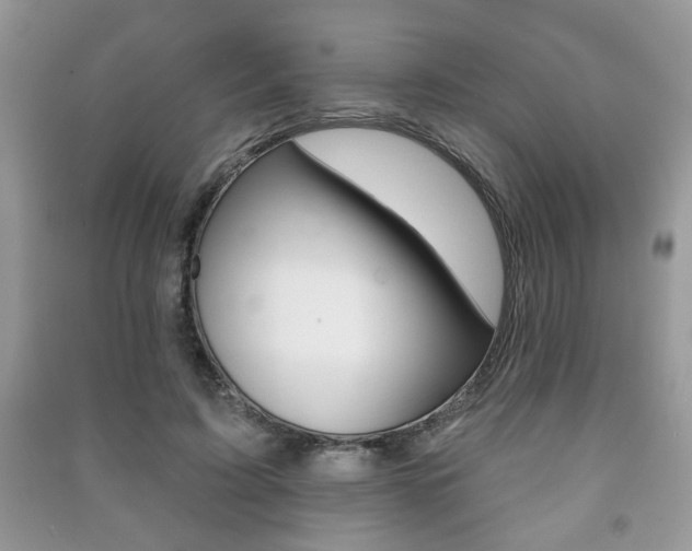X0000091170595200708091025