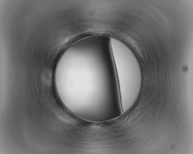 X0000091170596200708091025