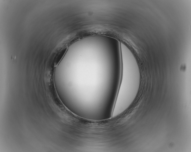 X0000091170597200708091025